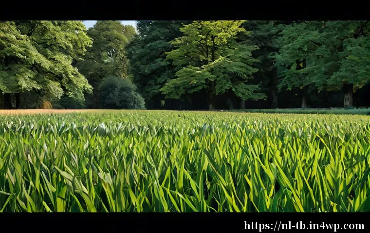 Concentratie trainen met verbeelding: oefeningen, valkuilen en wanneer begeleiding zinvol is 4 집중력 증진을 위한 상상력 훈련 관련 이미지 2